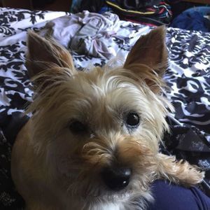 Meet your Posher, Lisa